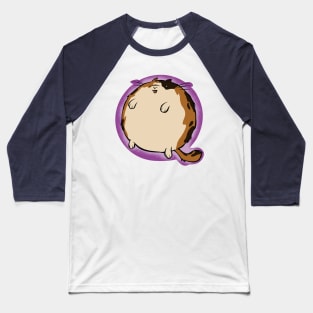 Calico Sphere Cat Baseball T-Shirt